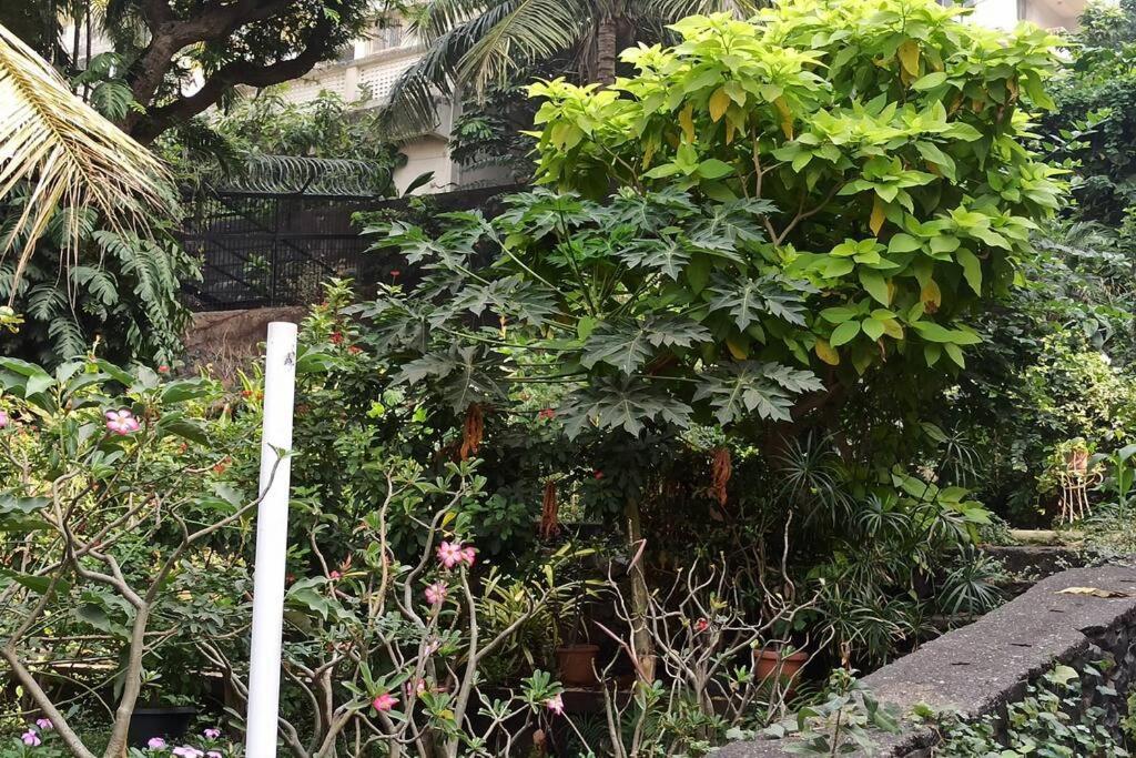 Cozy Private Ac Studio By The Sea Bandstand Bandra W Mumbai Nr Taj Lands End Daire Dış mekan fotoğraf