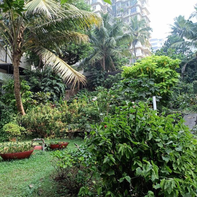 Cozy Private Ac Studio By The Sea Bandstand Bandra W Mumbai Nr Taj Lands End Daire Dış mekan fotoğraf